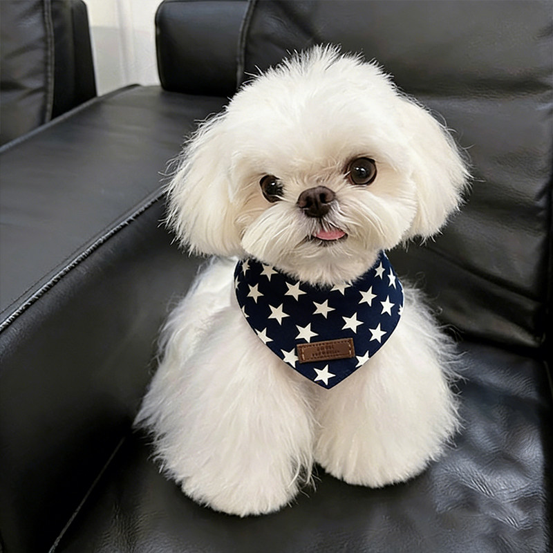 狗狗口水巾围脖小狗围兜小型犬小体比熊马尔济斯专用口水兜三角巾