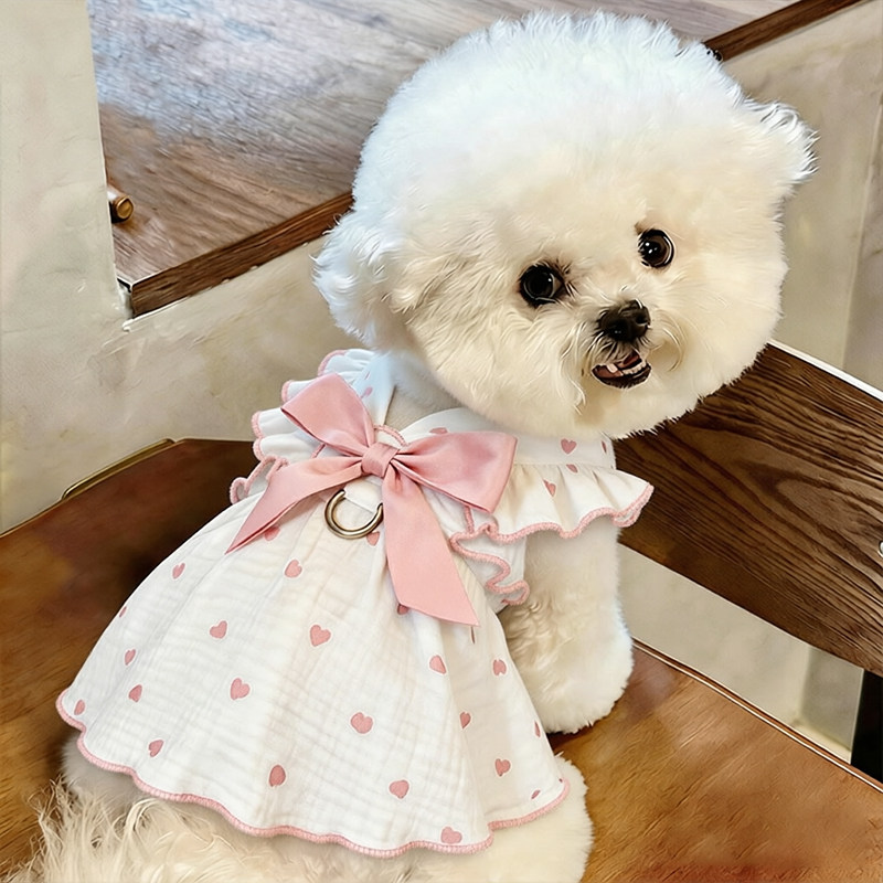 小狗衣服春装薄款幼犬夏天狗狗比熊蝴蝶结裙子两脚衣博美带牵引环