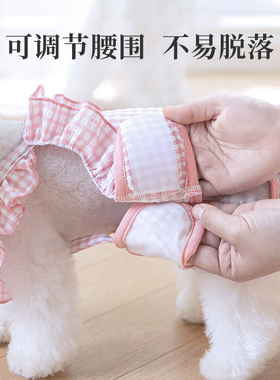 母狗生理裤小型犬泰迪比熊防公狗骚扰宠物月经期花边姨妈裤卫生巾