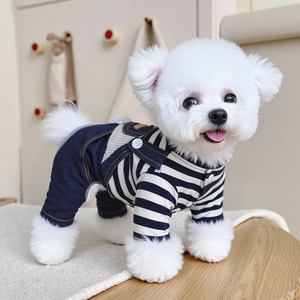 狗狗秋季新款衣服幼犬小型犬泰迪比熊冬天保暖可牵引四脚衣背带裤
