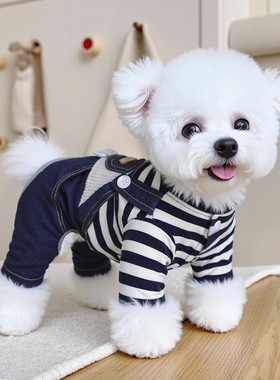 狗狗秋季新款衣服幼犬小型犬泰迪比熊冬天保暖可牵引四脚衣背带裤