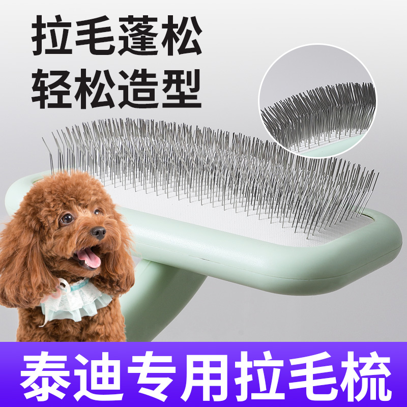 泰迪梳子拉毛蓬松小狗美容造型梳小型犬梳毛专用针梳幼犬狗毛清理