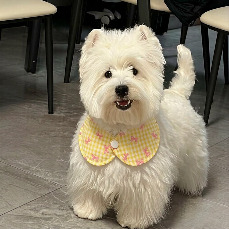 狗狗口水巾围脖小狗围兜小型犬高颜值比熊泰迪格子纽扣口水兜拍照