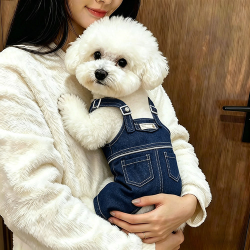 狗狗夏天薄款衣服春季小型犬春夏出行遛狗比熊宠物用品背带裤泰迪