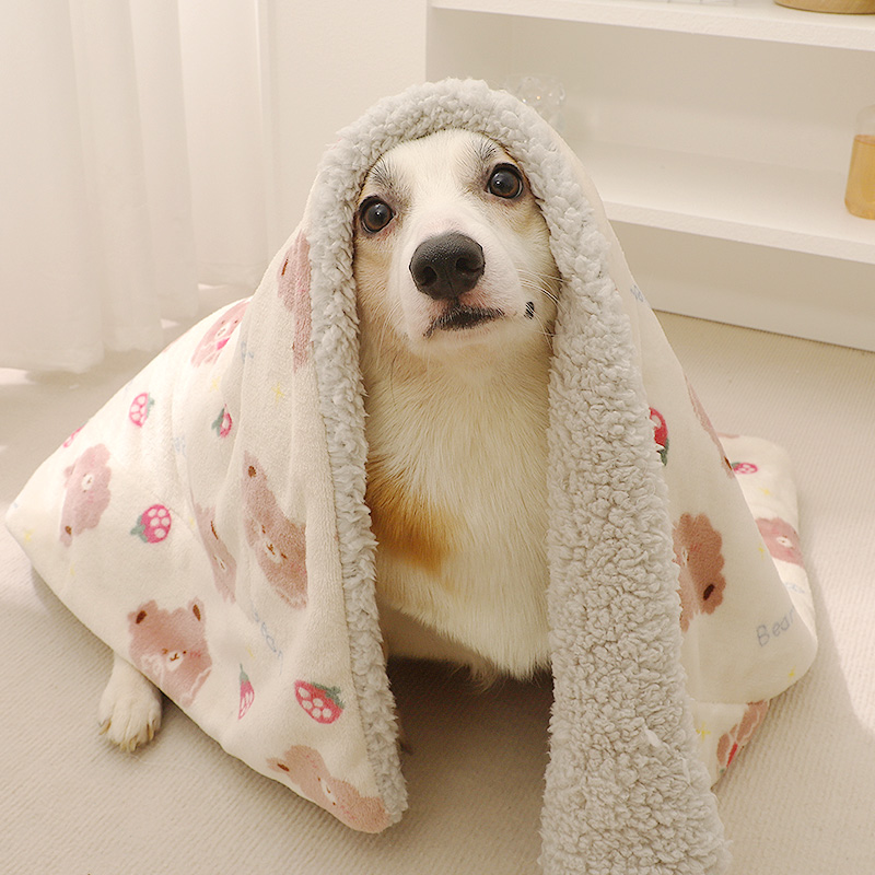 狗狗毛毯睡觉被子冬加厚小狗毯子小奶狗陪睡高颜值盖毯厚款雪纳瑞