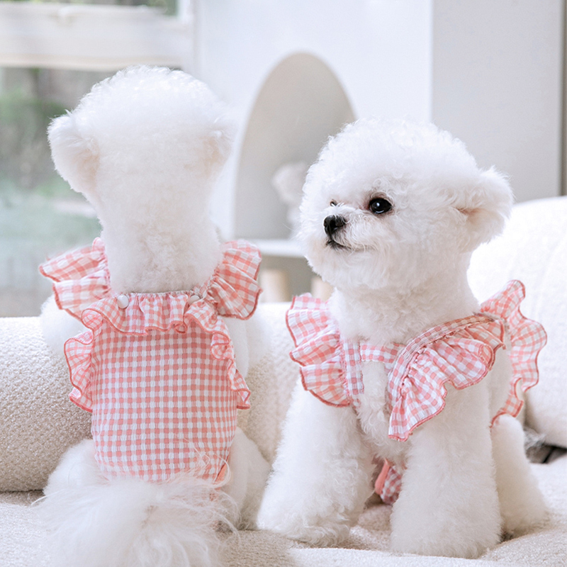 卫生裤月经母狗肚兜衣服