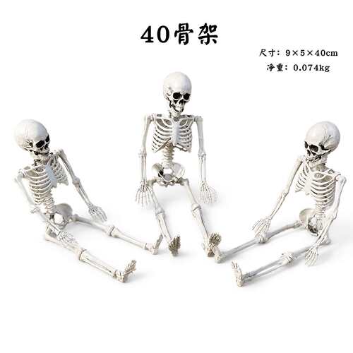 Halloween40CMHumanSkeleton