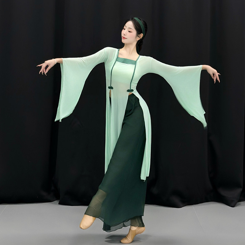古典舞蹈服古风汉唐大袖纱衣套装