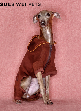 jacques wei pets设计师官方店2023aw宠物针织连帽衫