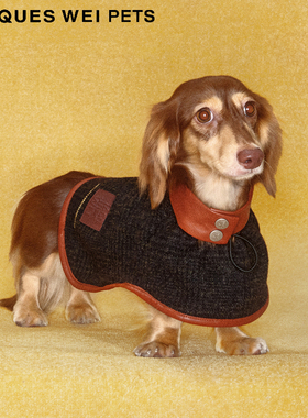 jacques wei pets设计师官方店2023aw宠物黑色羊毛拼皮披风