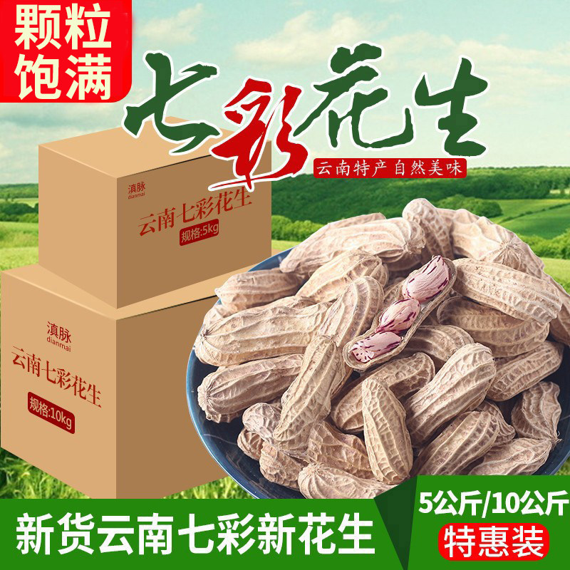 新货七彩花生云南新鲜晒干图片