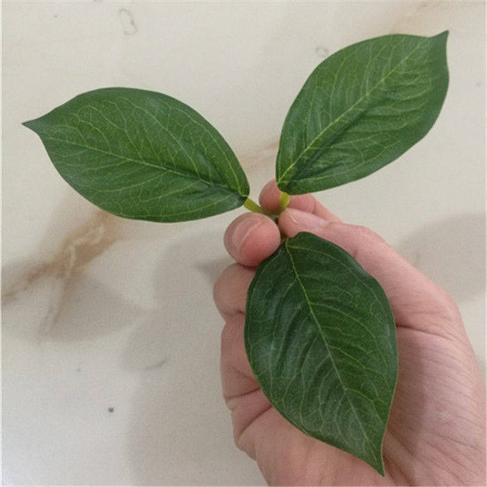 三叉玉兰花叶 山茶花叶仿真叶子配件 胶布叶片墙装饰绿叶绿树叶
