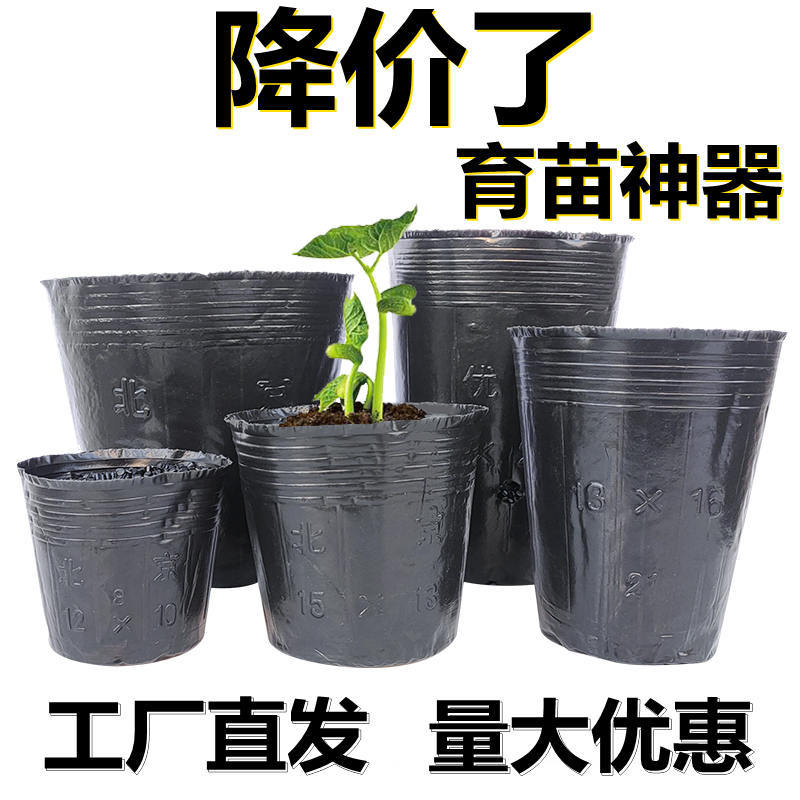 营养杯育苗杯一次性黑色营养袋育苗袋大号播种植塑料育苗盆营养钵-封面