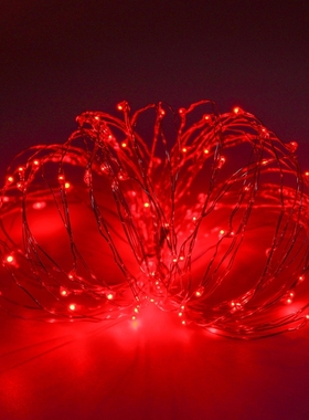 10M LED灯串5W红色紫色蓝色 电池USB灯串节日装饰室内彩灯跨境款