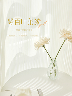 百叶纱纱帘透光不透人窗帘免打孔安装 挂钩式 送轨道卧室飘窗出租屋