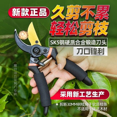 【德国工艺】SK5加厚专用省力果树园林修剪树枝剪刀果树修枝剪刀