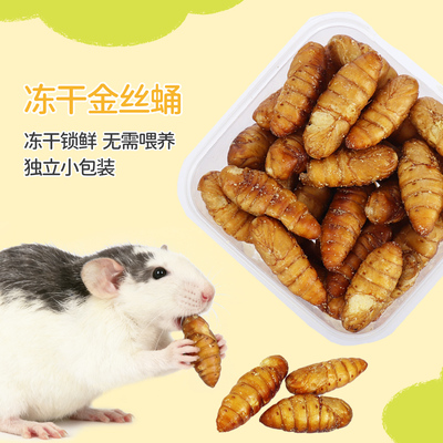 花枝鼠粮食刺猬仓鼠零食金丝熊过冬粮食冻干金丝蚕蛹昆虫宠物零食