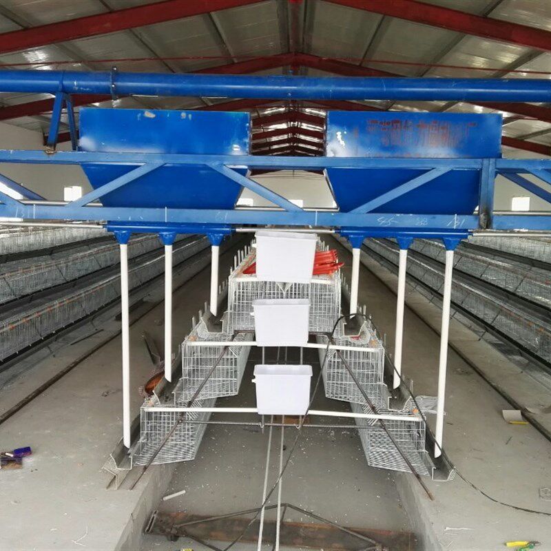 养鸡场全自动喂料机，自动上料机畜牧/养殖器械