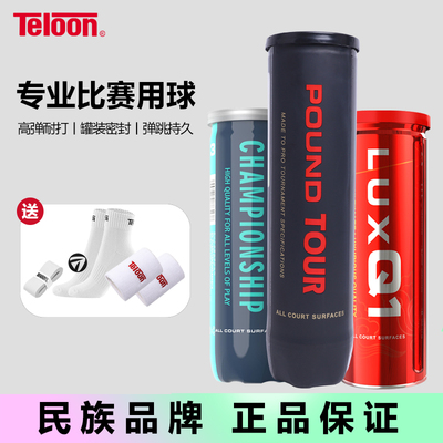 天龙网球比赛专用球高弹力耐打有压球P4pound训练球P3罐装比赛球