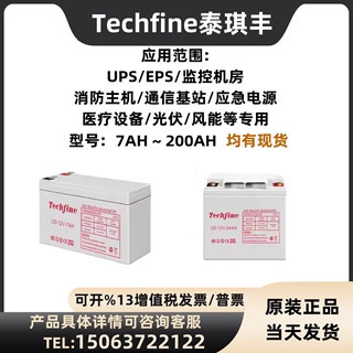 Techfine泰琪丰蓄电池12V120A100AH65A40A38A24A17A机房直流屏UPS