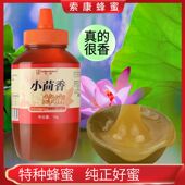 索康扬子江蜂蜜纯正天然野生自产挤压瓶小茴香小包装 百山花蜜糖