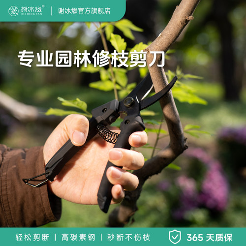 谢冰燃修枝剪SK5碳钢修剪花卉
