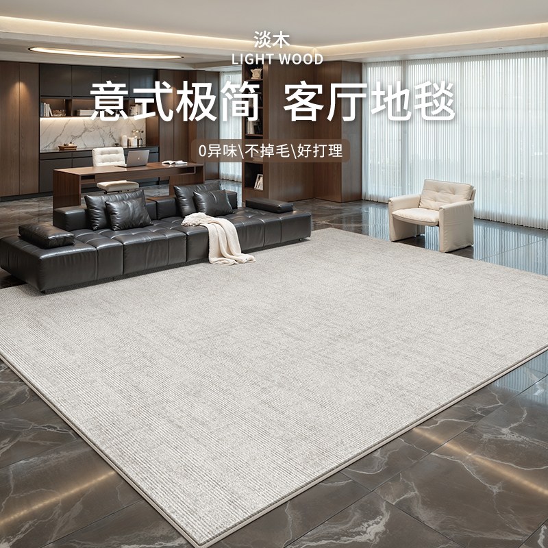 地毯客厅意式极简免洗可擦