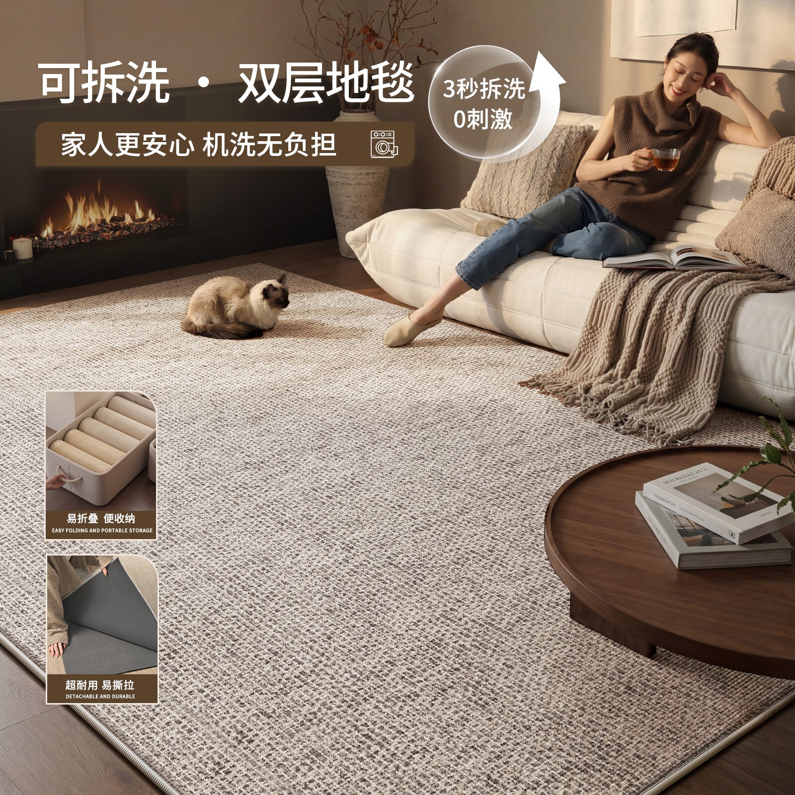 可拆洗地毯客厅现代轻奢高级感2026新款免洗可擦双层可拆卸可机洗