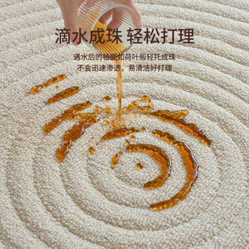 兴连心家用客厅奶油风硅藻丝地毯