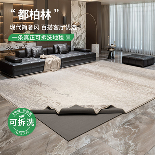 轻奢免洗可擦可机洗高级意式 可拆洗地毯客厅2025新款 防水双层地垫
