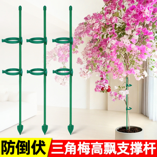 三角梅造型支架植物防倒花支撑架爬藤固定器龟背竹园艺高飘支撑杆