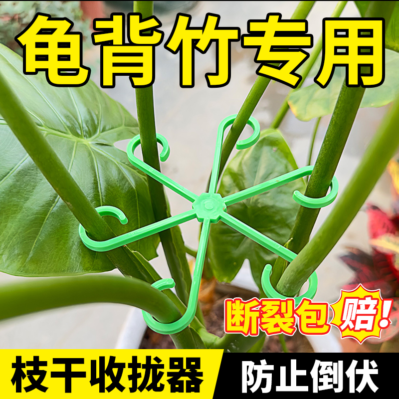 龟背竹固定器支撑防倒伏固定花枝支架园艺花卉枝干收拢器春雨支架