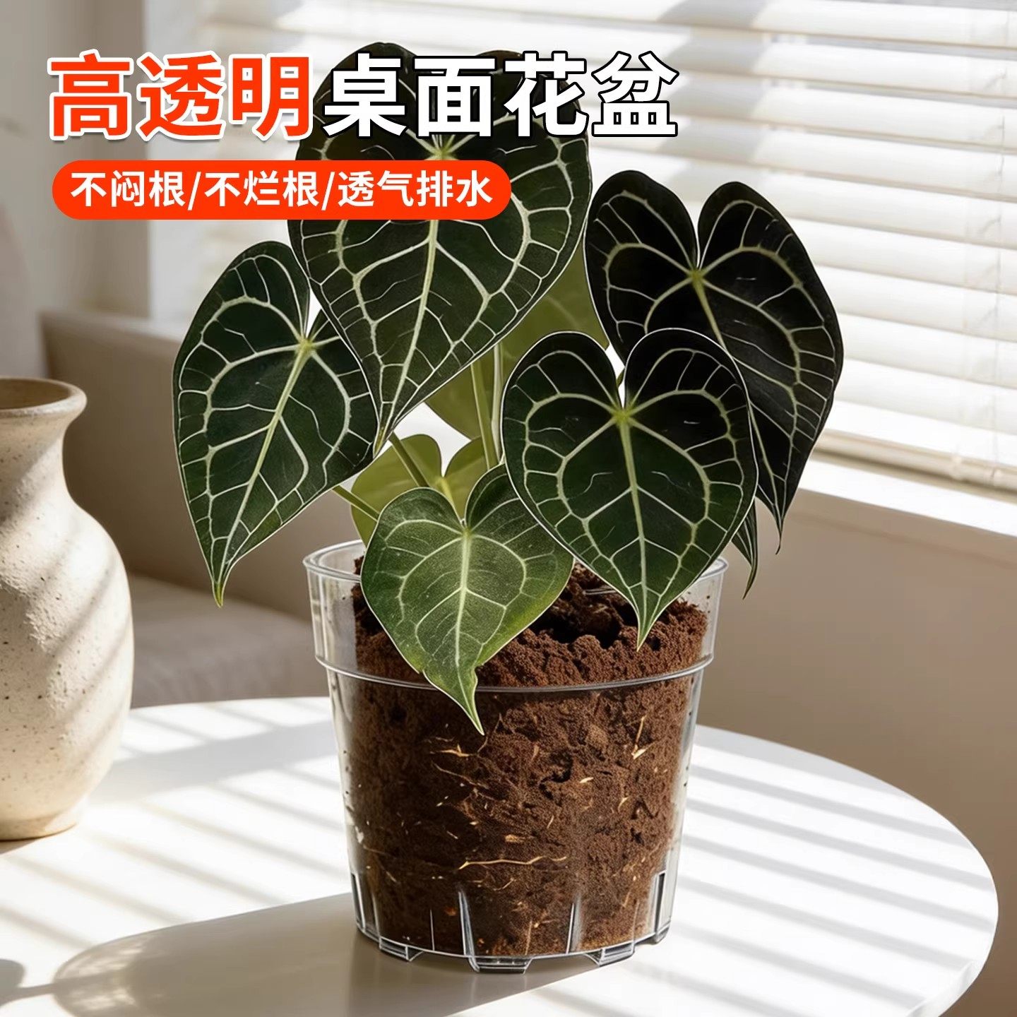 高透明热植花盆家用活性观根空气柱控根透气蝴蝶兰多肉亚克力花盆,鲜花速递/花卉仿真/绿植园艺,花盆,淘宝优惠券,粉丝福利购,淘宝优惠卷