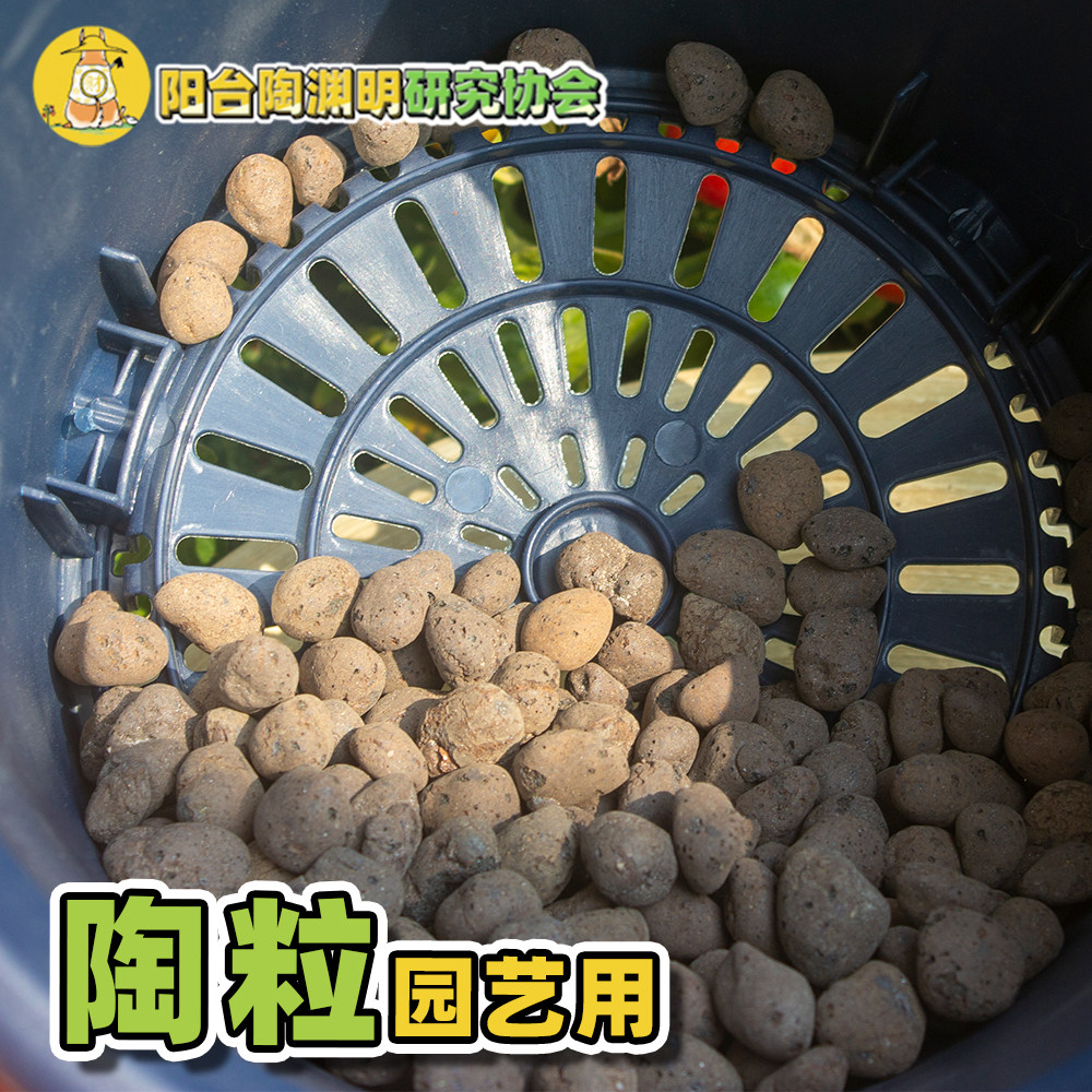 陶粒花用介质垫底园艺用水培排水兰花种花防烂根王汪淑芬的小阳台