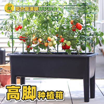 【阳台陶渊明】食品级种植箱