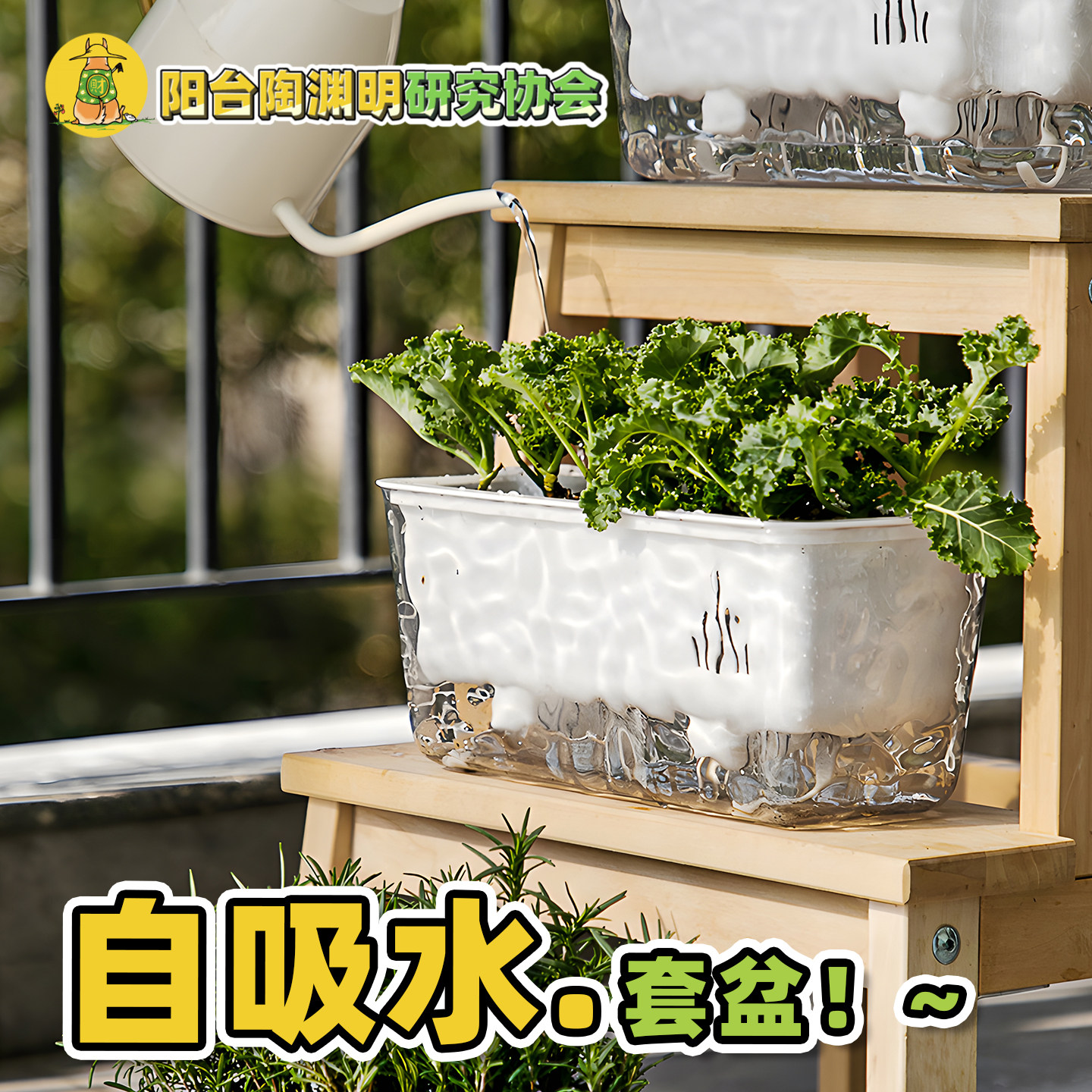 自吸水储水套盆种葱种香草种草莓奶茶杯水培盆番茄阳台种菜长条盆