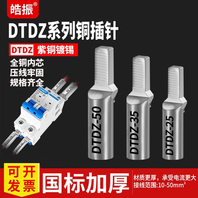 DZ47国标堵油DTDZ铜插针