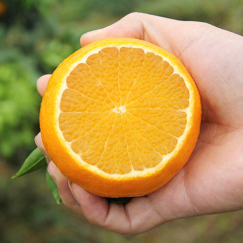 百果园四川爱媛38号果冻橙新鲜当季甜柑橘蜜桔子水果