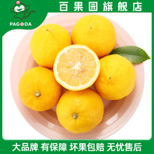 14.9元包邮  PAGO JOY/百果心享  四川尤利克黄柠檬3斤