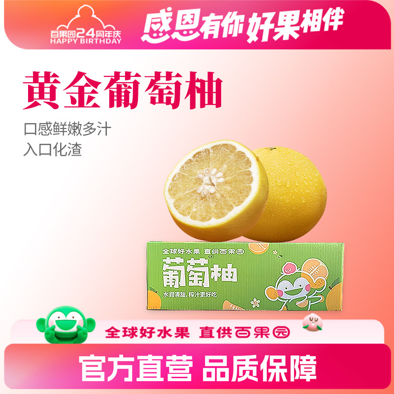 福建漳州平和特产黄金葡萄柚子