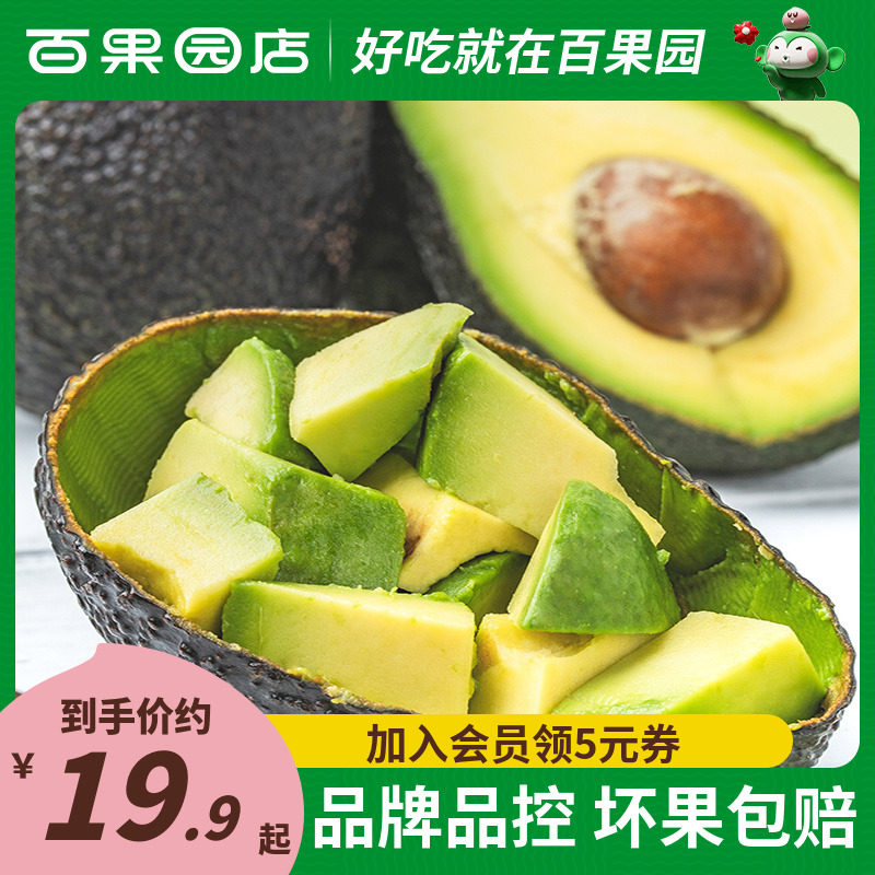 【百果园店】门店品质 智力牛油果进口新鲜水果整箱应季鳄梨辅食