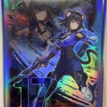 限定卡套K9-17号饭纲