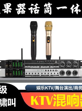 FX88专业一拖二充电手持话筒前级器All家用KTV防啸叫混音器