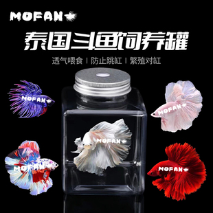 新手泰国斗鱼罐桌面旅游携带半月将军繁殖混养隔离塑料瓶摆摊鱼缸