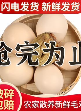 农家新鲜毛鸡蛋正宗21天全鸡喜蛋18天半鸡半蛋鸡胚蛋新鲜毛蛋生的