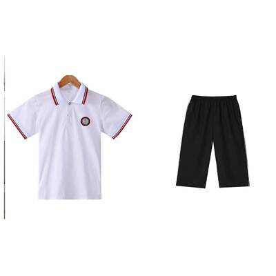 天龙学校校服台县溪天龙