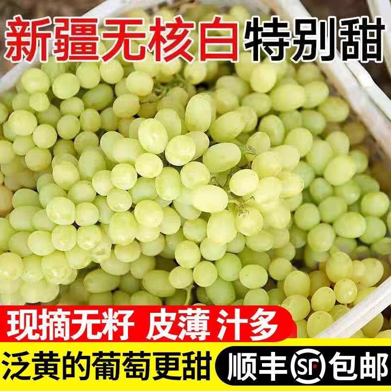 新疆吐鲁番无核白葡萄新鲜当季水果马奶子葡萄甜顺丰包邮4.5斤