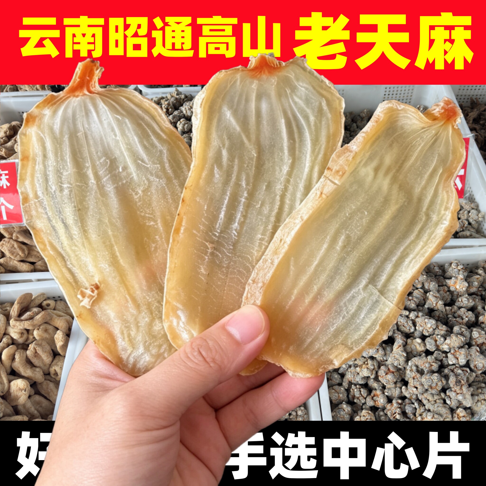 天麻片云南昭通小草坝仿野生种植特级天麻中心片干货正品优质新鲜