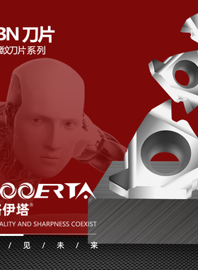 络伊塔CBN螺纹刀片16ERAG60/11IRAG55氮化硼超硬宝石刀头淬火钢用