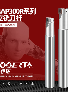 络伊塔EAP300R直角数控铣刀杆CNC装1135刀片8-40方肩抗震BAP刀杆